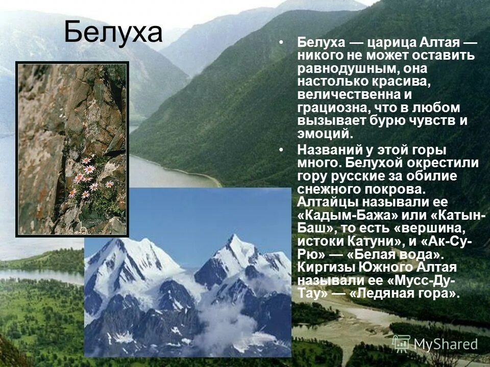 северо чуйский и южно чуйский хребты. река катунь доклад. презентация горный алтай. презентация горный алтай. горы южной сибири.