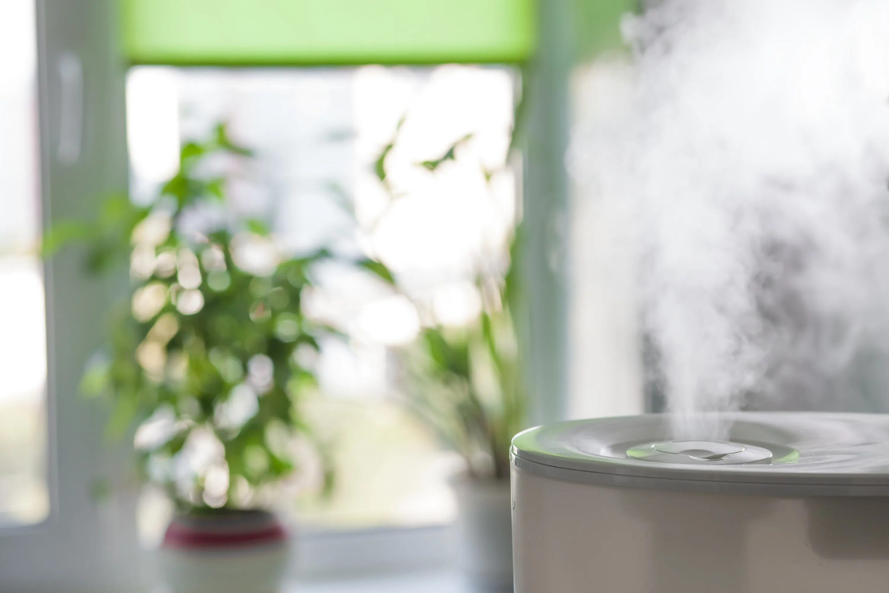 Увлажнитель воздуха genau. Увлажнитель воздуха Humidifier. Увлажнитель воздуха для растений. Увлажнение воздуха в квартире.