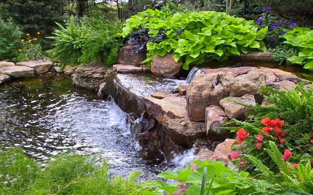 Постройка пруда. Искусственный прудик. Устройство водоемов. Устройство водоемов. Биоплато внутри пруда.