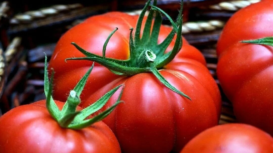 Помидоры вечером можно ли. Королева огорода томат. Томат пирожок. Адриатика сорт помидора. Томат сорт шляпа.