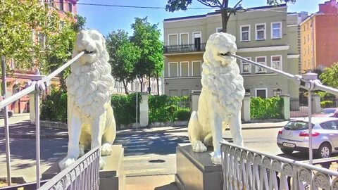 Белый лев санкт петербург