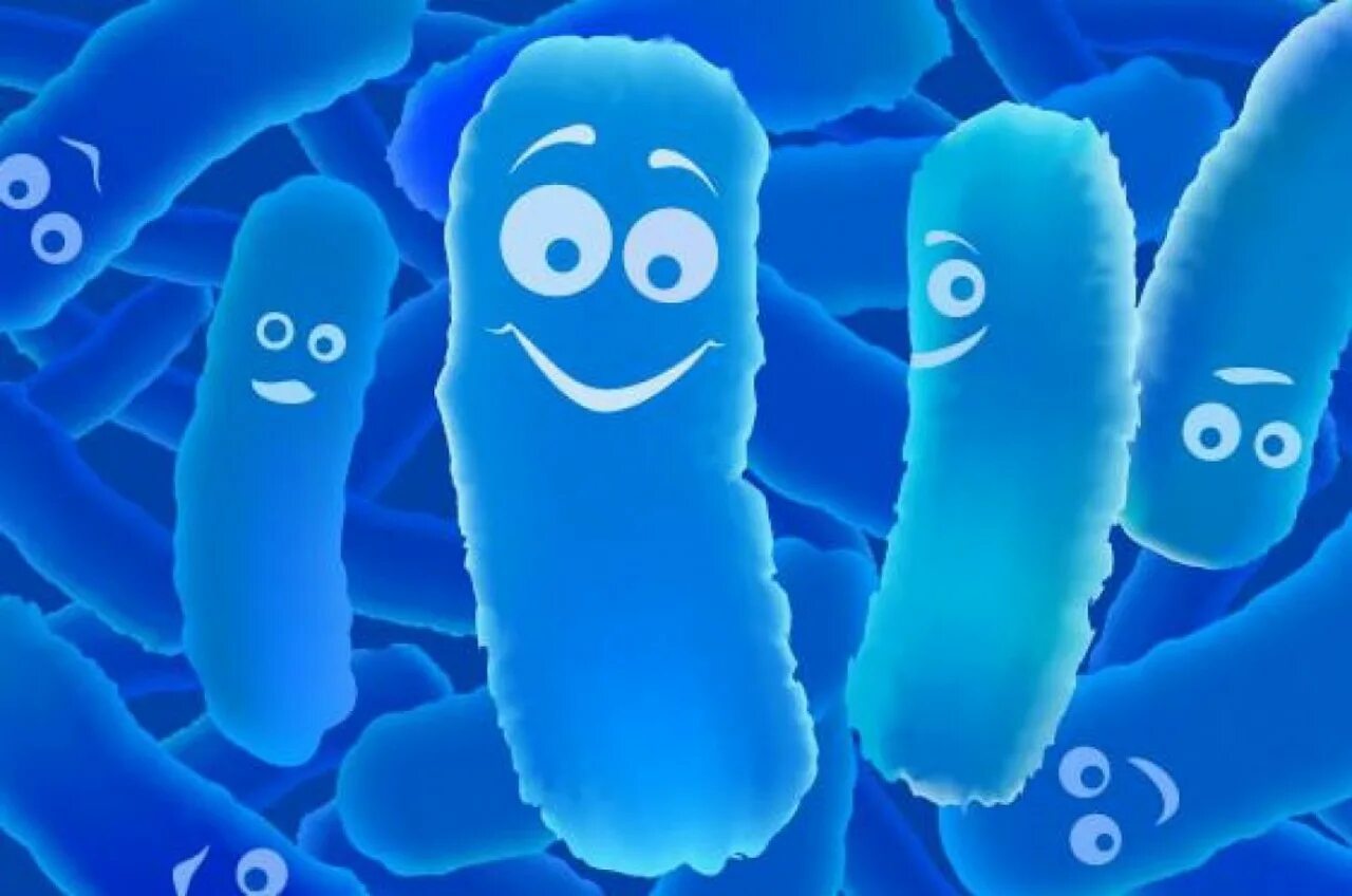 Полезные микроорганизмы. Пробиотики лактобактерии и бифидобактерии. Полезные бактерии. Хорошие микробы.