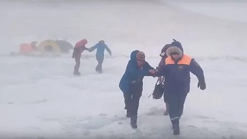 Метель не страшна зверьку