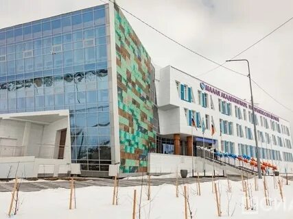 Арктическая академия объект вихрь