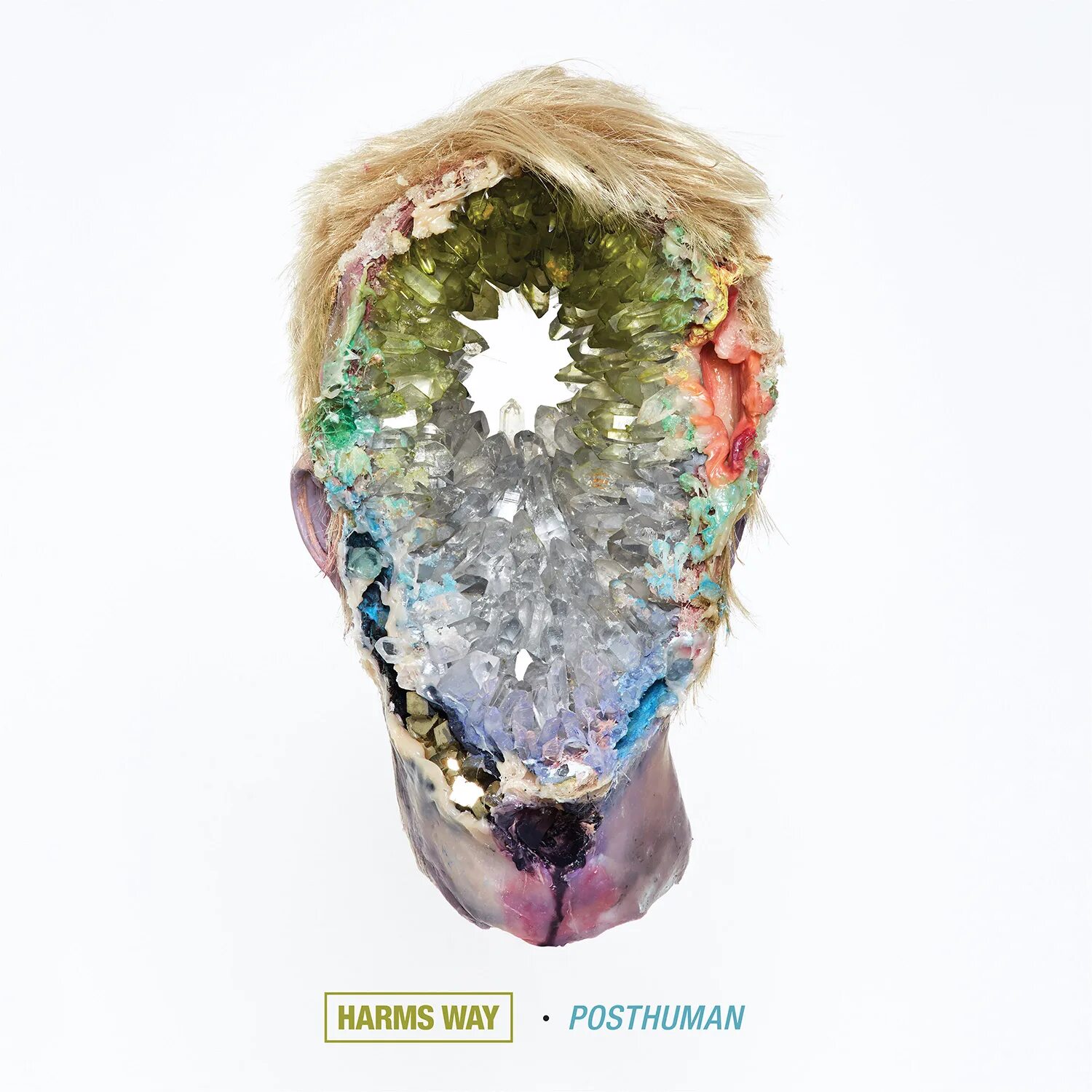 Posthuman. Обложка альбома posthuman. posthuman bring me the horizon обложка. harm&#039;s way. human carrying capacity harms way.