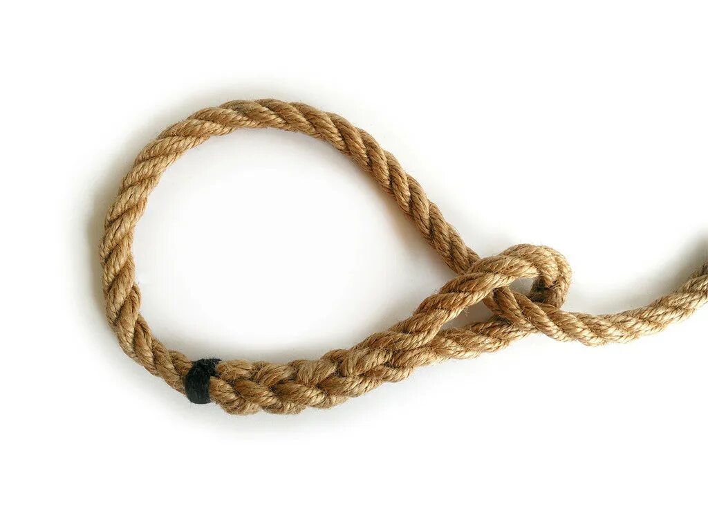 Веревку разрезали в пяти частях сколько частей получится. Выделенную веревочку разрезали. Отрезать ножницами. Разделить веревку на 3 равные части. Выделенную веревочку разрезали.