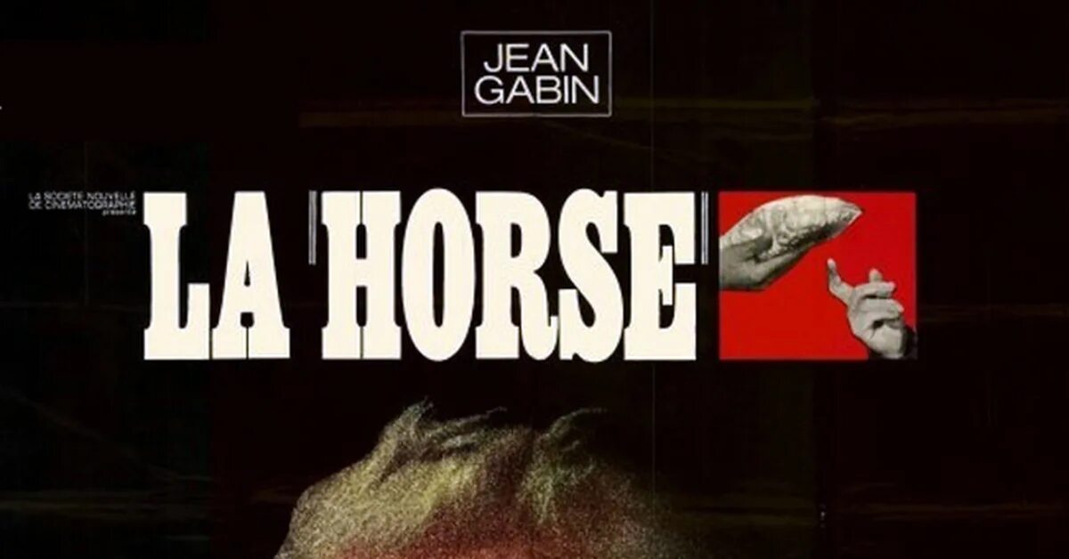 La horse. Лошадь во весь рост. La horse. La horse. La horse.