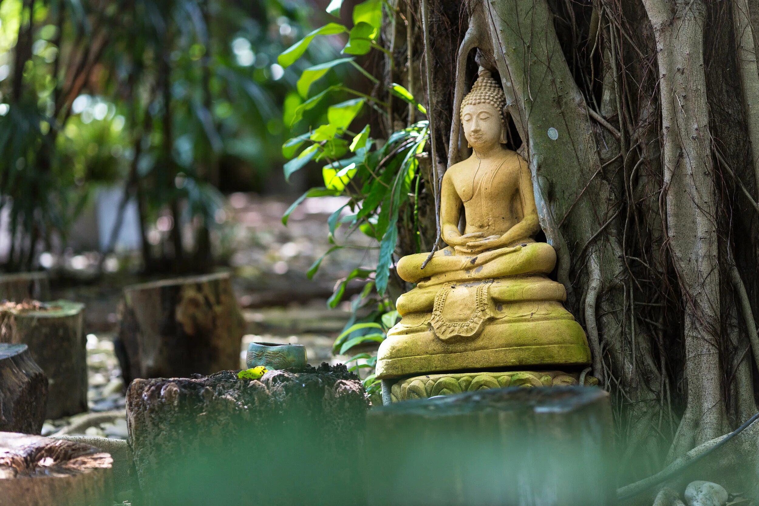 Тест будды. Тайланд 2022 Самуи. Самуи зеленый Будда. Тайланд сад Будды. Ретрит на Самуи.