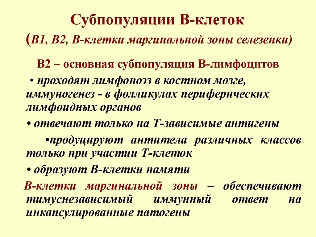 Основные субпопуляции т лимфоцитов. Субпопуляции клеток. субпопуляции в-лимфоцитов. основные субпопуляции лимфоцитов. основные субпопуляции т-клеток.
