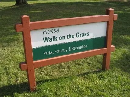 Did you walk