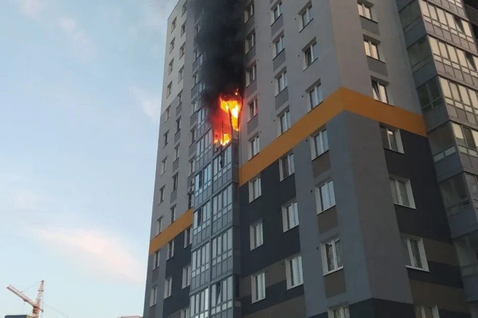 Что горит в горелово сейчас. Пожар в Новогорелово. Пожар в Новогорелово сейчас. Пожар в Горелово сейчас. Пожар в Горелово сегодня.