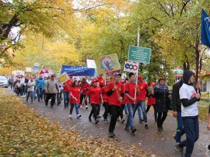 Здоровый праздник