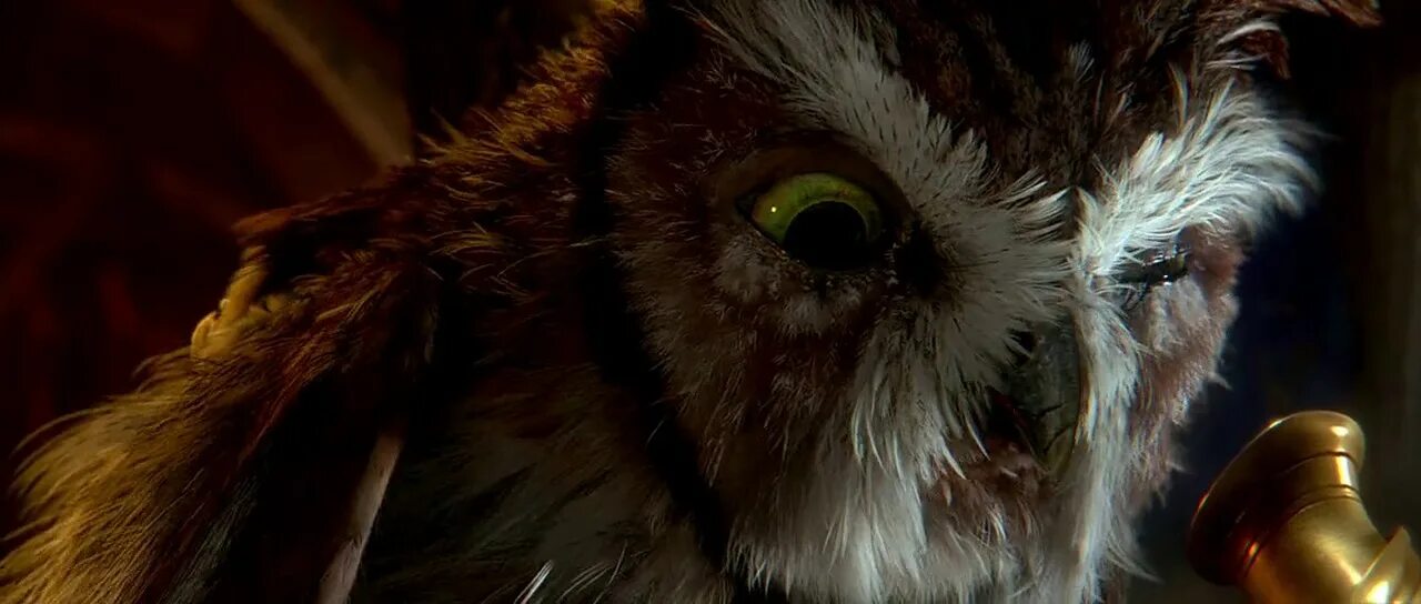 Ga hoole guardians the owls legend. Мультфильм про сов легенды ночных стражей. Легенды ночных стражей мультфильм 2010 Эглантина. Легенды ночных стражей Эглантина. Ночные Стражи 2010.