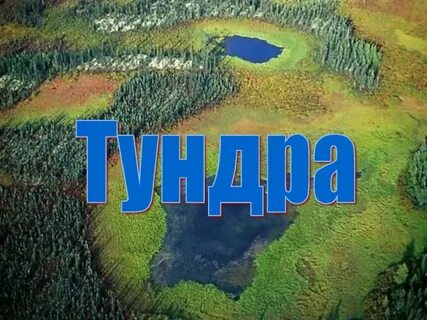 Инфоурок тундра 4 класс