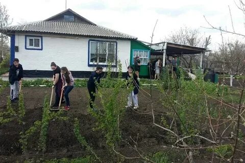 Погода зеленолугский мартыновский