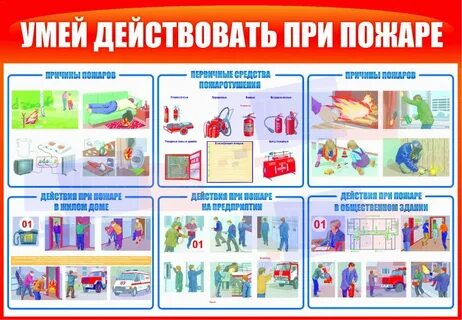 Умеют действовать