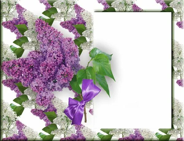 Рамка сирень. Рамка цветы сирень. Рамка для открытки сирень. Рамка для открытки сирень. Рамка сирень.