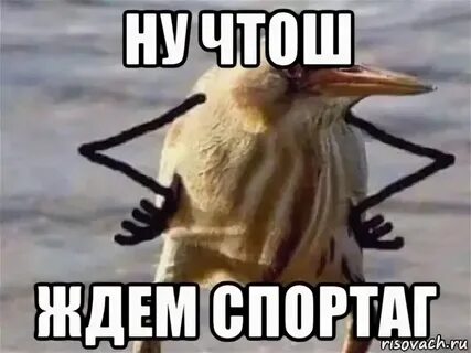 Штош
