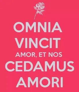 Как переводится amor