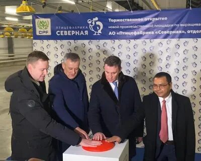 Ленинградская птицефабрика