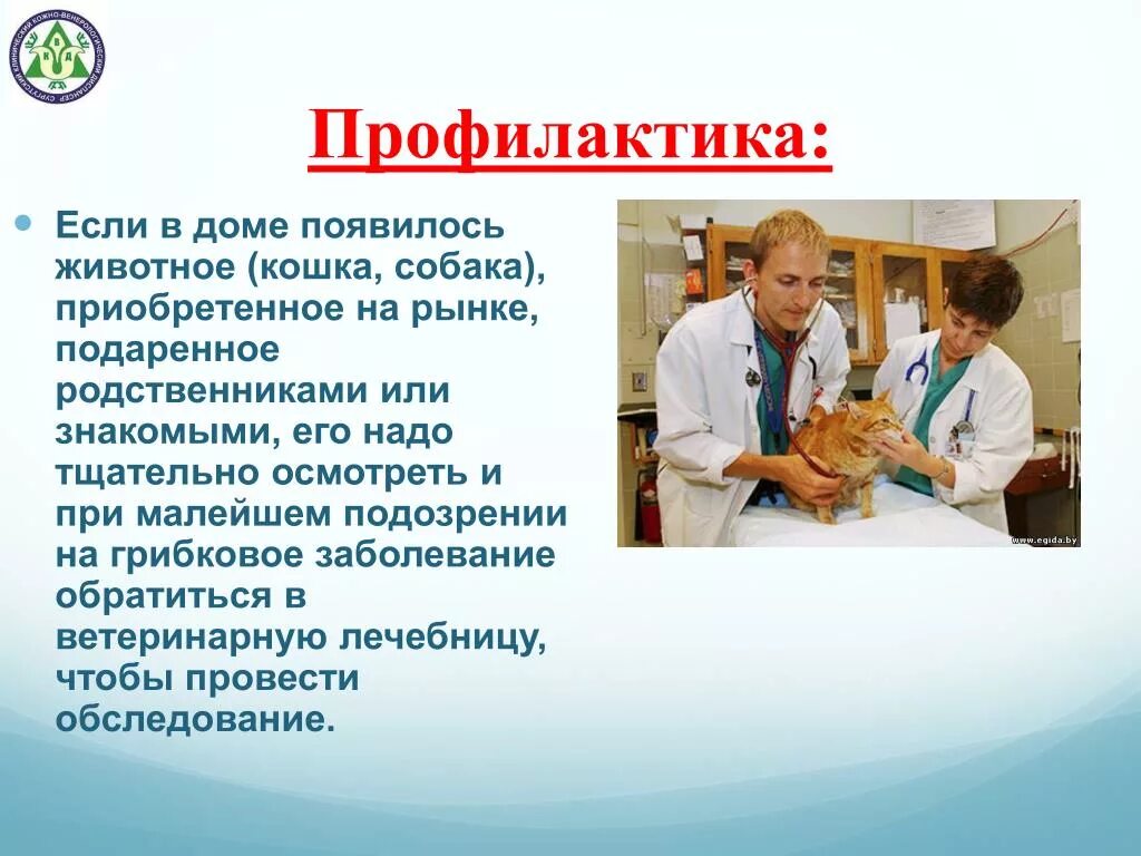 Профилактика заболеваний. Предупреждение заболеваний кожи. Презентации на тему профилактика основных видов кожных заболеваний. Памятка по профилактике кожных заболеваний. Презентация по профилактике заболеваний