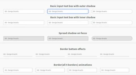 Css input focus