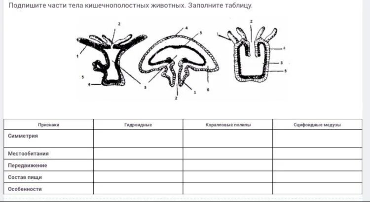 Картинки БИОЛОГИЯ ТАБЛИЦА КЛАССОВ КИШЕЧНОПОЛОСТНЫХ