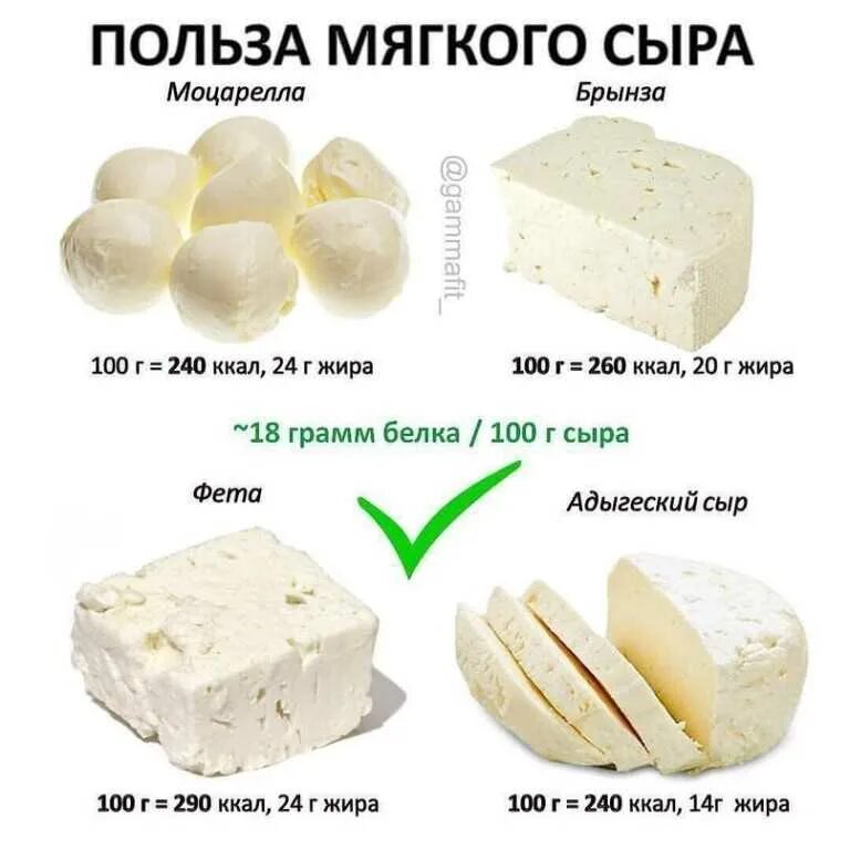 Можно ли соленое в пост. Сорта сыра. Калорийность сыра. Мягкие сыры названия. Сыр мягкий типа брынзы.