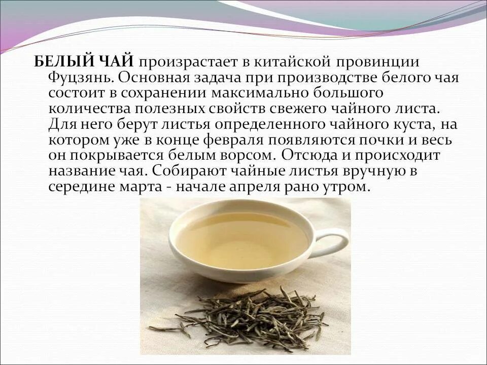 Китайские чаи польза и вред. Чем полезен чай. Полезные свойства чая. Полезные качества чая. Польза чая.
