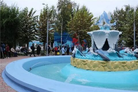 Дельфин красноярск