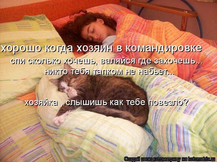 Не хочется идти спать. Кот не дает спать. что делать когда все спят. долго спишь картинки. открытка в субботу можно и поспать.