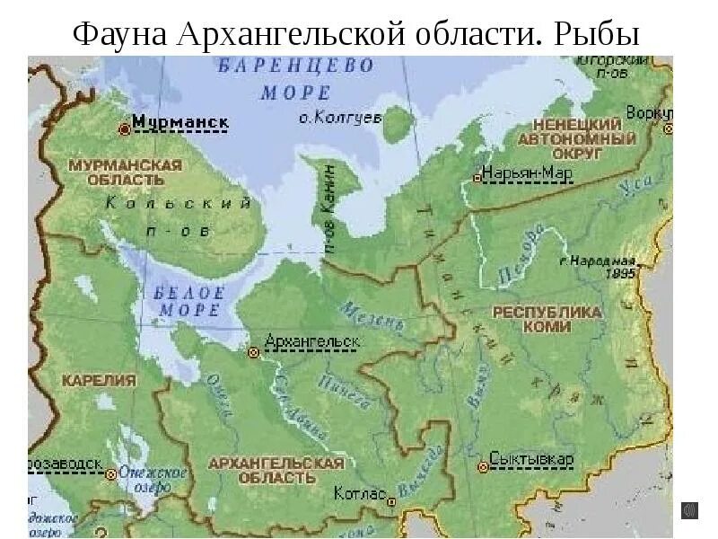 Архангельск на карте России. Архангельск наикарте России. Архангельская область на карте России. Архангельск ката оссии. Крупнейшие озера европейского севера