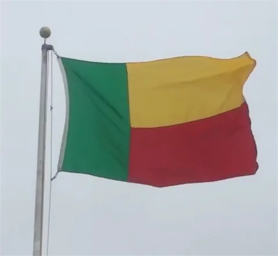 Polyester Benin Flag (Light Duty)