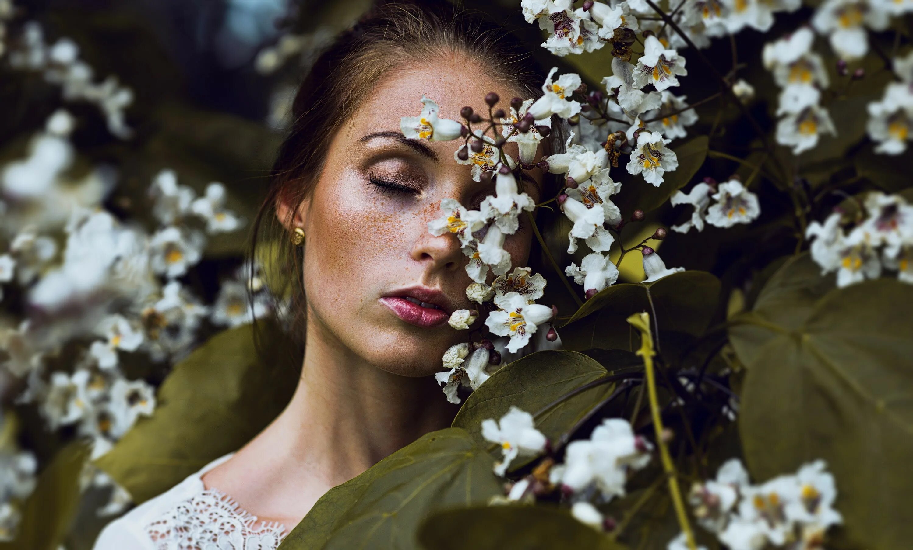 pixelcoder - Photography - Lutz Heidbrink - Waiting for Spring II - German Woodl