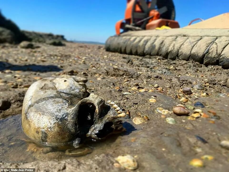 Находки на берегу моря. Необычные находки найденные на побережье.