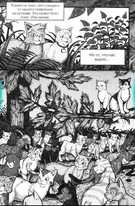 Коты манга возвращение воителя. Коты воители стань диким читать. Возвращение воителя. Эрин хантер крутобок и бич. Коты воители возвращение крутобока.