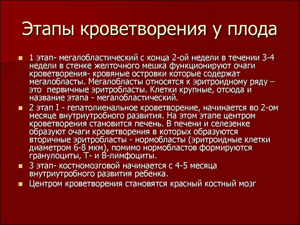 Стадии развития крови. Периоды эмбрионального кроветворения. Этапы кроветворения у плода. Этапы эмбрионального кроветворения. Этапы эмбрионального гемопоэза.