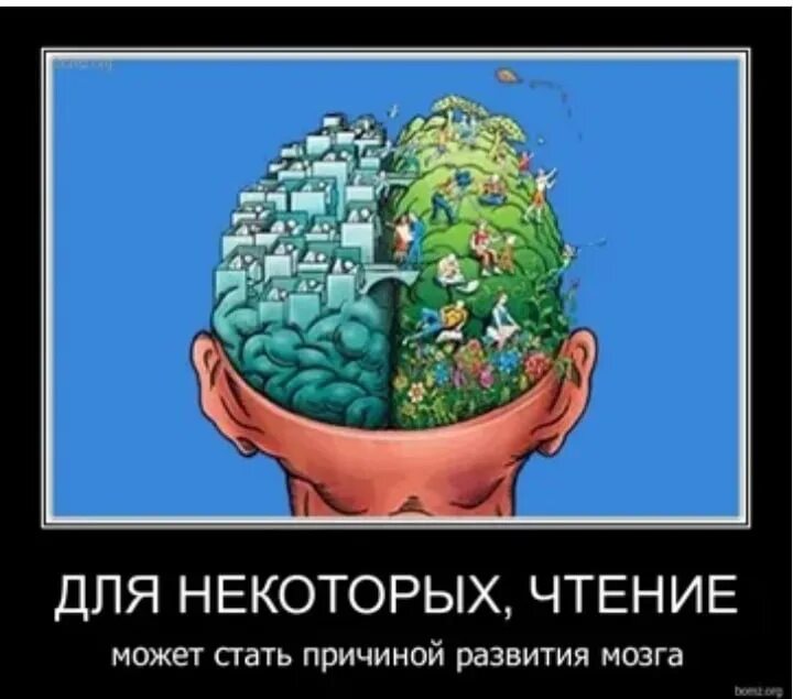 Чтение и мозг. Чтение книг мозг. Чтение книги развитие мозга. Чтение развивает мозг.