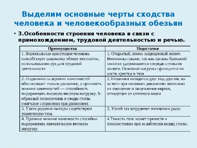 Черты сходства и различия человека и обезьяны. Черты сходства человека и человекообразных обезьян. особенности скелета человека в связи с прямохождением.