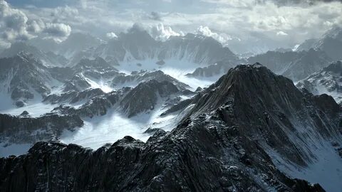 D mount