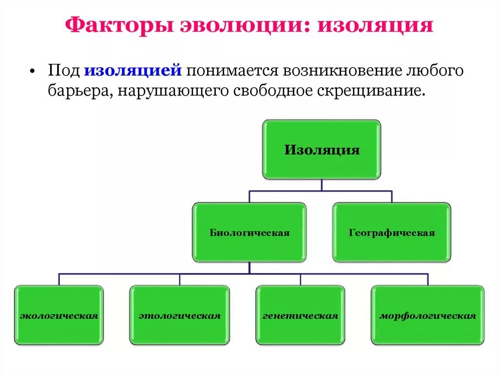 Изоляция фактор эволюции виды