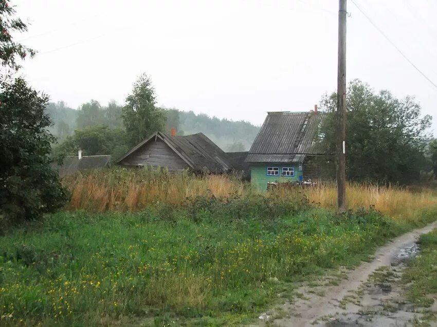 Деревни семеновского района нижегородской области. Федосеево Семеновский район. Деревня Федосеево Семеновский район. Деревня Федосеево Нижегородская область. Деревня пустынь Нижегородская область Семеновский район.