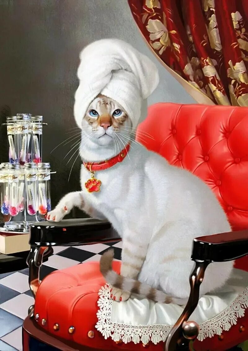 Киса мурка. Элегантная кошка. Гламурный кот. Кошка гламур. Модная кошка.