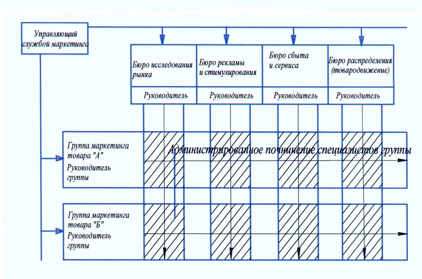 Функциональная организация маркетинга. Товарно-рыночная организация маркетинга. Организация по товарно-рыночному принципу. Функциональная организация службы маркетинга. Сильные стороны товарной организации службы маркетинга.