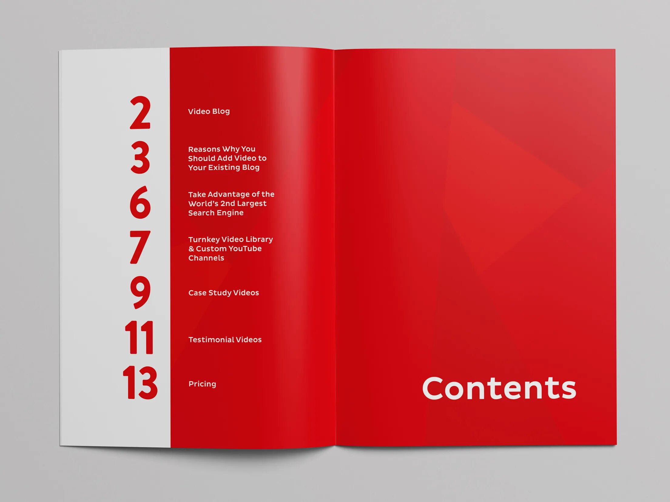 Брошюра содержит 16 страниц. Обложка каталога. Дизайн книги. Дизайн журнала. Обложка буклета.