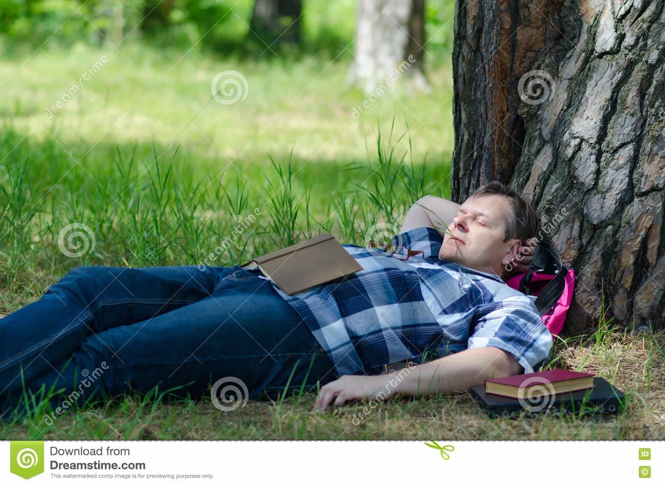 Спящий человек в лесу. Спящий лес. Человек спящий под деревом.