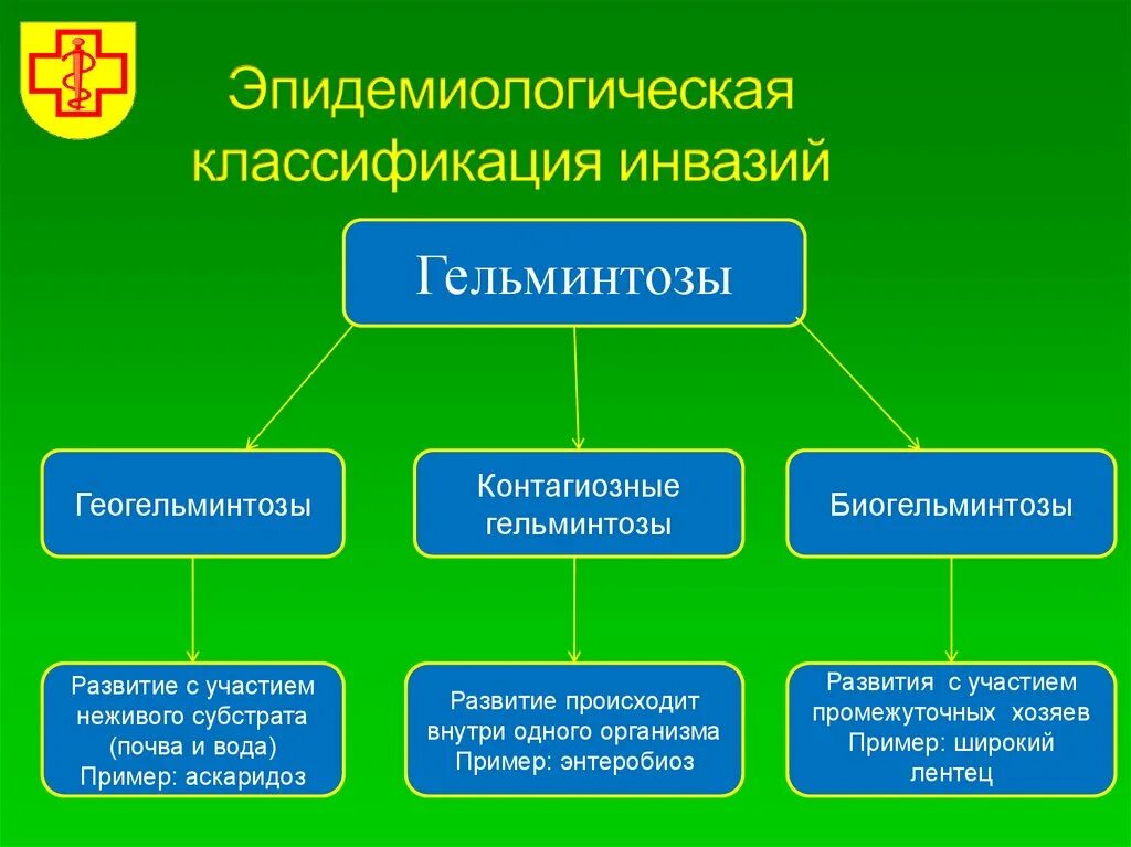 Характеристика и классификация гельминтов. Классификация гельминтозов биогельминтозы. эпидемиологическая классификация гельминтов. гельминтозы эпидемиология классификация. классификация гельминтов таблица.