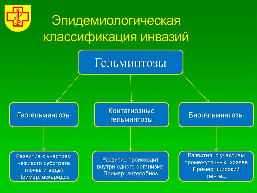 Эпидемиологическая классификация гельминтозов. Гельминтозы классификация биогельминтозы. Эпидемическая классификация гельминтозов. Глистные инвазии классификация. Биогельминтозы