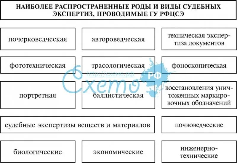 Виды судебных экспертиз. Классификация судебных экспертиз. Виды судебных экспертиз таблица. Роды судебных экспертиз.