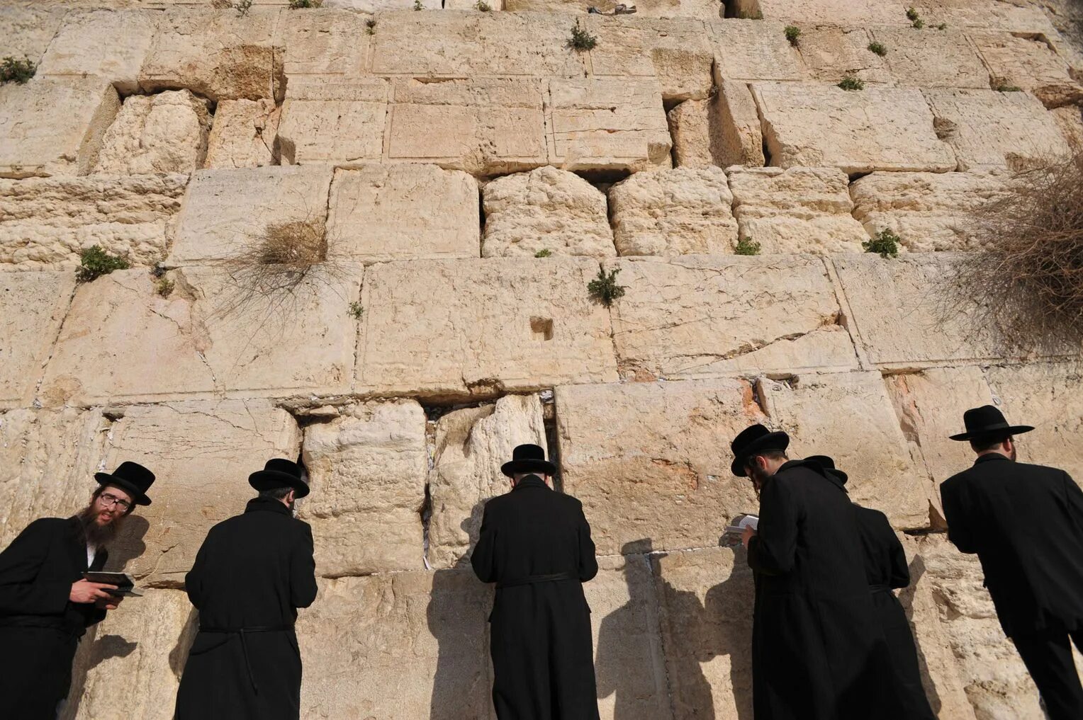 Иудейское нагорье. Священная гора иудеев. Священная гора иудеев. Гора мунтар. Иудейские горы.